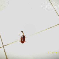 фото из отзыва ID 380547