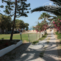 фото из отзыва ID 380892