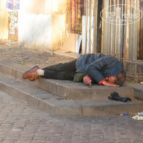 фото из отзыва ID 380920