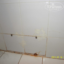 фото из отзыва ID 380547