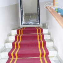 фото из отзыва ID 380547