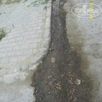 фото из отзыва ID 380547