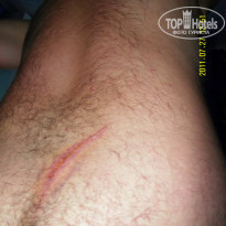 фото из отзыва ID 380547