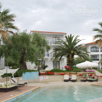 фото из отзыва ID 381163