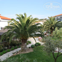 фото из отзыва ID 381163