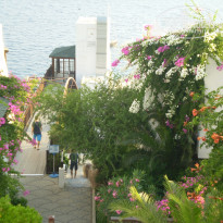 фото из отзыва ID 381278