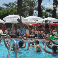 фото из отзыва ID 381356