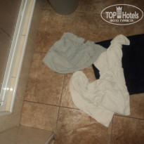 фото из отзыва ID 381684