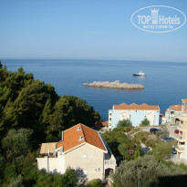 фото из отзыва ID 381948