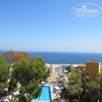 фото из отзыва ID 382047