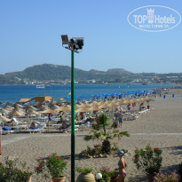 фото из отзыва ID 382283