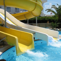 фото из отзыва ID 382421