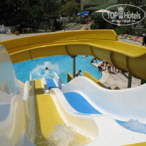 фото из отзыва ID 382421