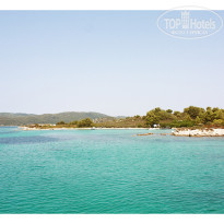 фото из отзыва ID 382458