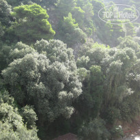 фото из отзыва ID 382522