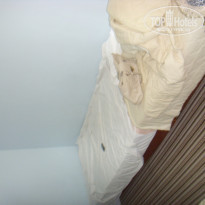 фото из отзыва ID 382552