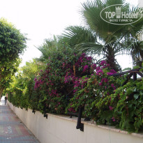 фото из отзыва ID 382559