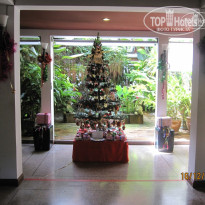 фото из отзыва ID 382605