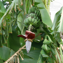 фото из отзыва ID 382928