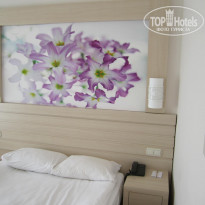 фото из отзыва ID 382964