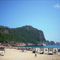 фото из отзыва ID 383107