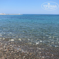 фото из отзыва ID 383236