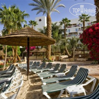 фото из отзыва ID 383762