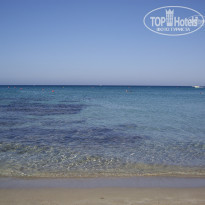 фото из отзыва ID 384031