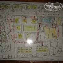 фото из отзыва ID 384031