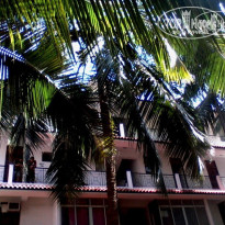 фото из отзыва ID 384033