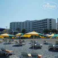 фото из отзыва ID 384087