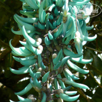 фото из отзыва ID 384199