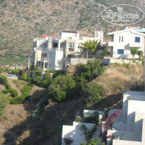 фото из отзыва ID 384587