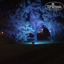 фото из отзыва ID 384949