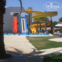 фото из отзыва ID 384285