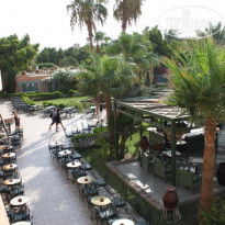 фото из отзыва ID 384233