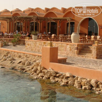 фото из отзыва ID 385007