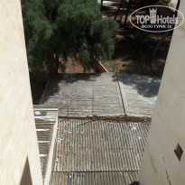 фото из отзыва ID 385120