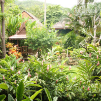 фото из отзыва ID 385162