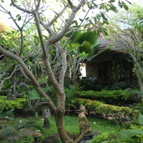 фото из отзыва ID 385162