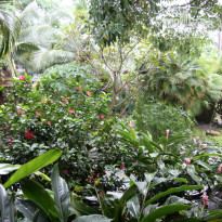 фото из отзыва ID 385162