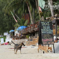 фото из отзыва ID 385162