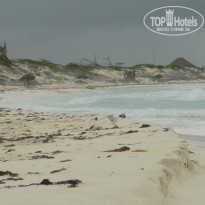 фото из отзыва ID 385474