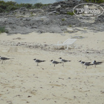 фото из отзыва ID 385474