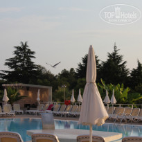 фото из отзыва ID 385513