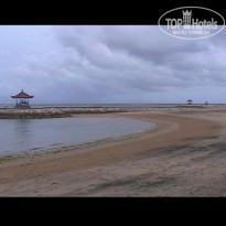 фото из отзыва ID 385716