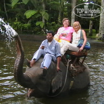 фото из отзыва ID 385716