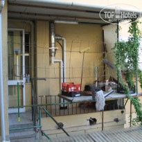 фото из отзыва ID 386425