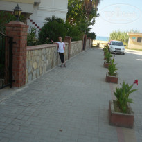 фото из отзыва ID 386428