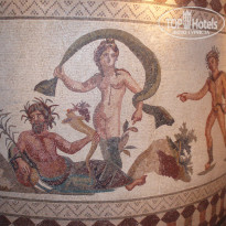 фото из отзыва ID 386481